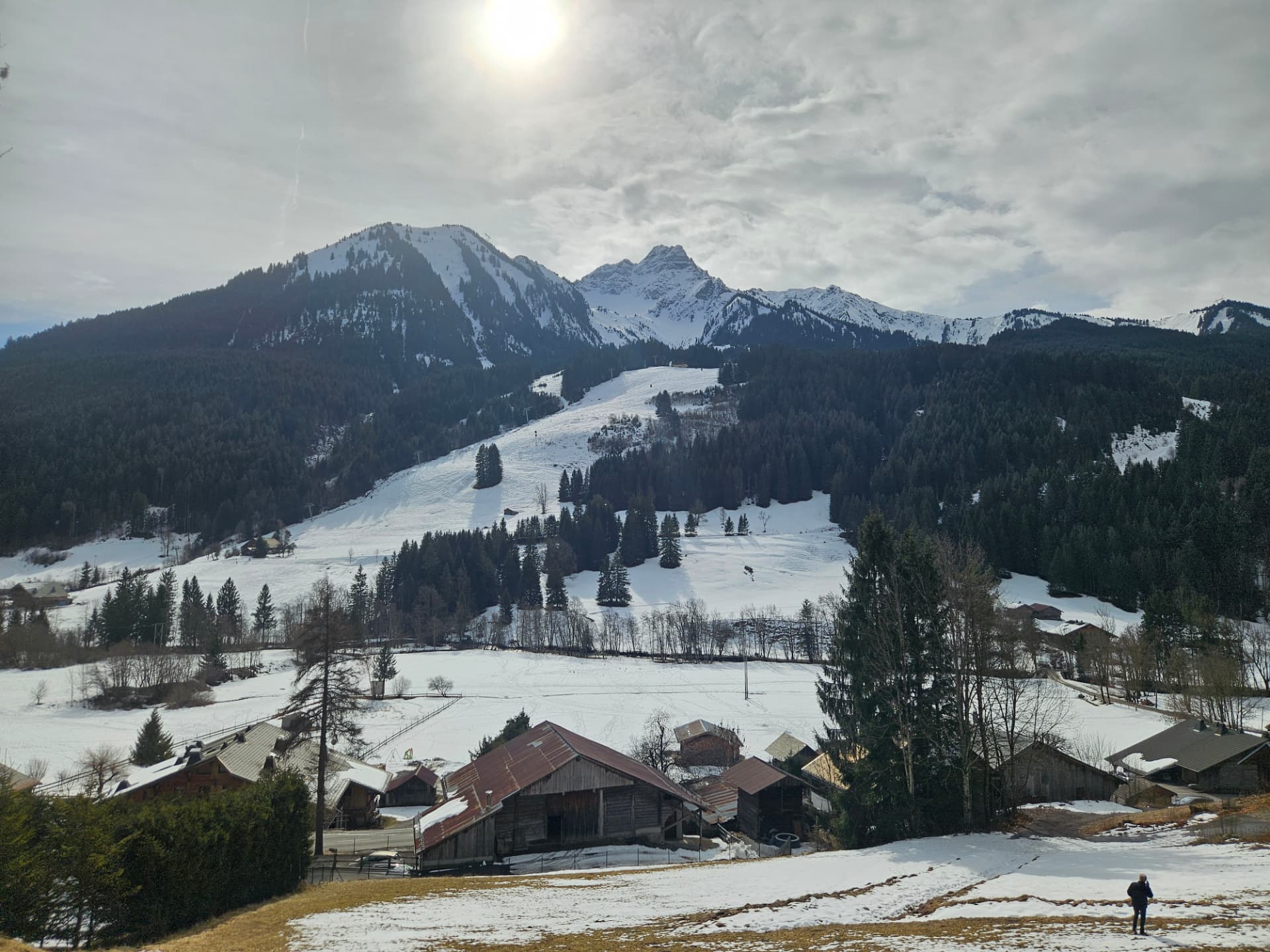 Les Chrysalides